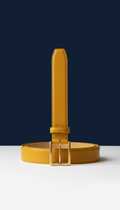 Accent Gold Leather Belt